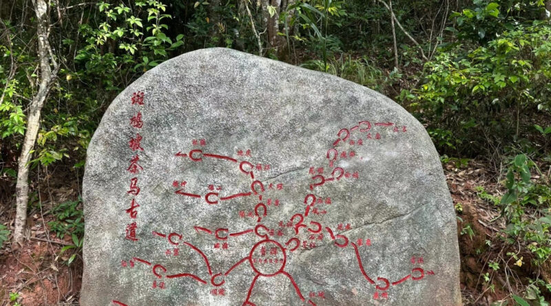 차마고도와 보이차의 이야기